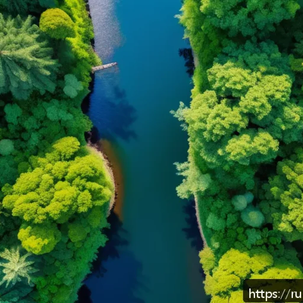 환경 지속 가능성 평가 - A detailed aerial view of a lush forest landscape monitored by multiple drones equipped with environ...