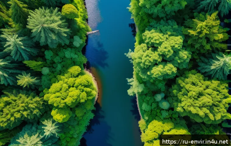 환경 지속 가능성 평가 - A detailed aerial view of a lush forest landscape monitored by multiple drones equipped with environ...